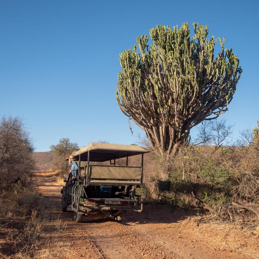 Itaga Luxury Private Game Lodge Bela-Bela Eksteriør bilde